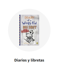 Diarios y libretas